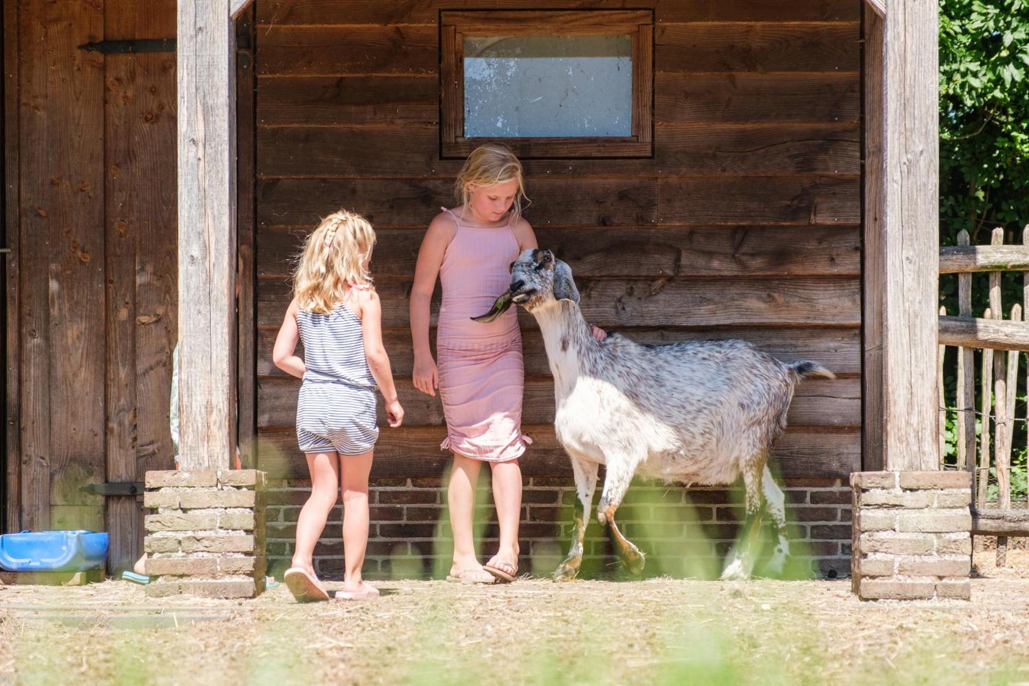 Camping De Pallegarste - Voor Uw Vakantiebestemming! Marienberg Eksteriør bilde
